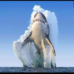 Meet your Posher, Gary